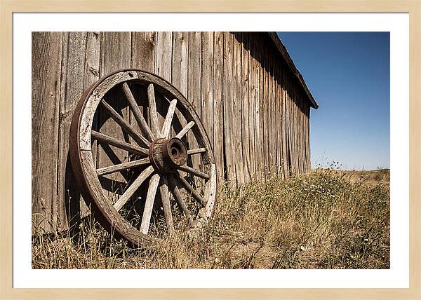 Weathered Wagon Wheel Against Barn