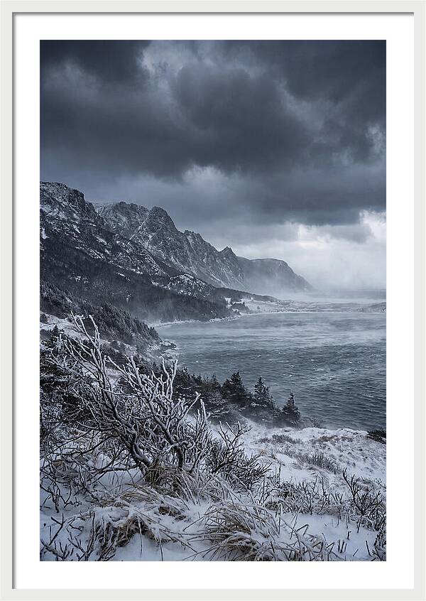 Weathering Snow Squall