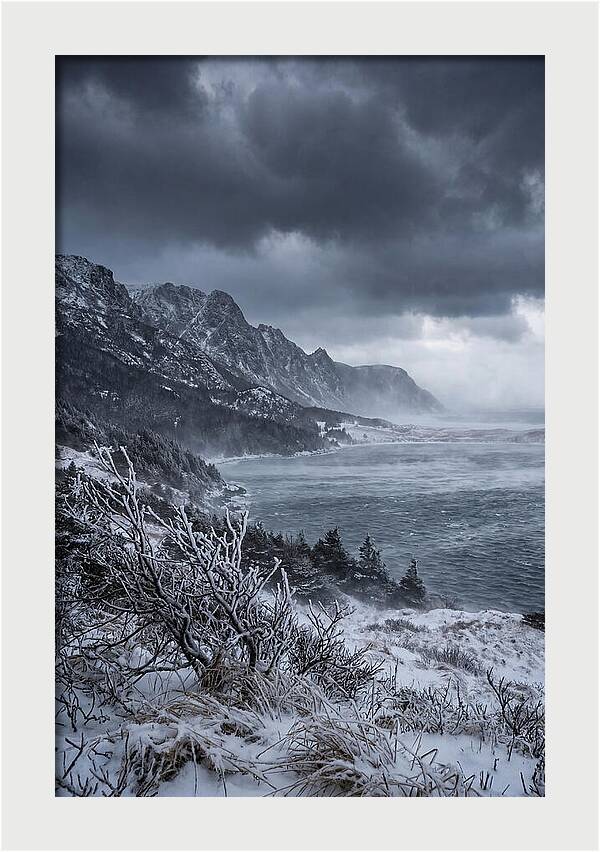 Weathering Snow Squall