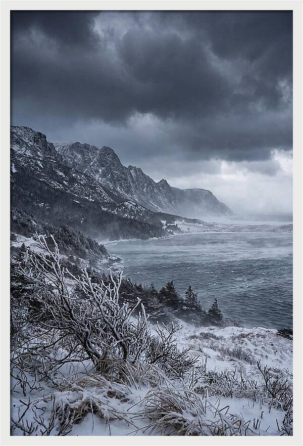 Weathering Snow Squall