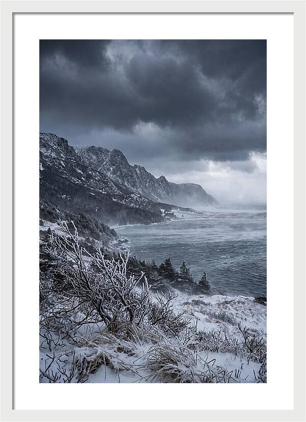 Weathering Snow Squall
