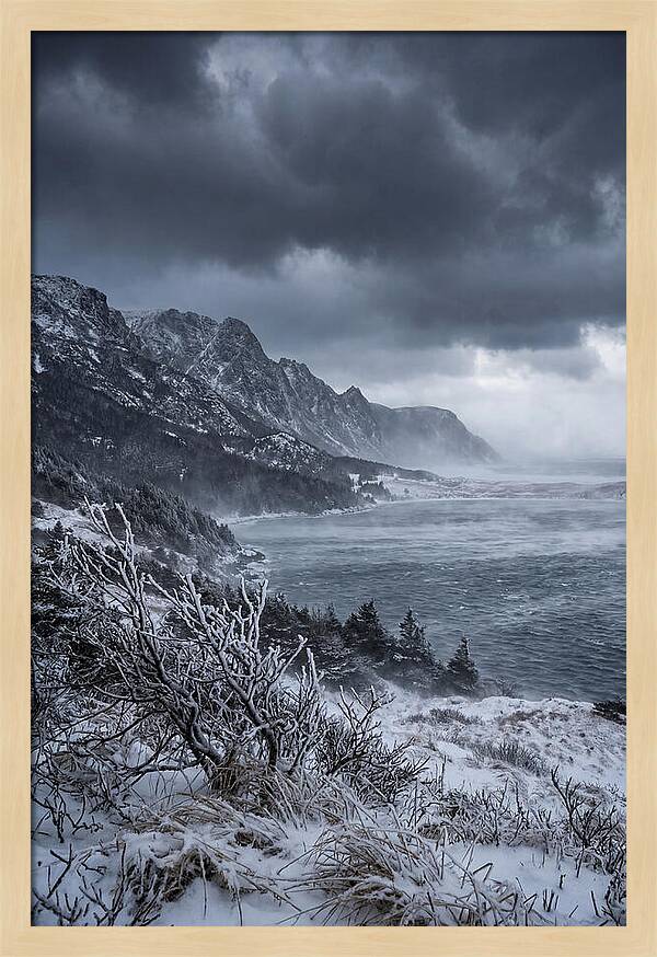 Weathering Snow Squall