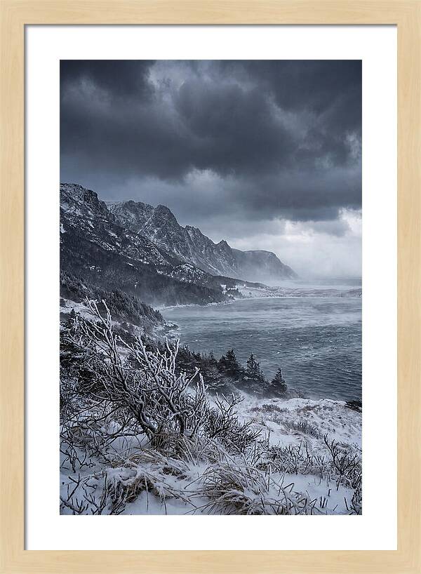 Weathering Snow Squall