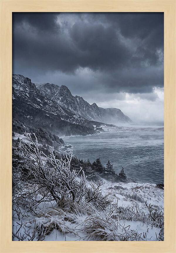 Weathering Snow Squall
