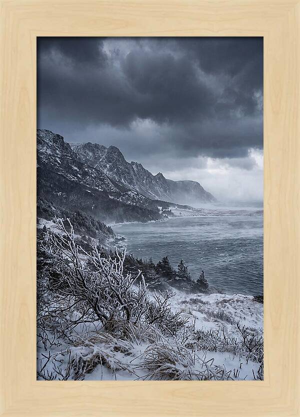 Weathering Snow Squall