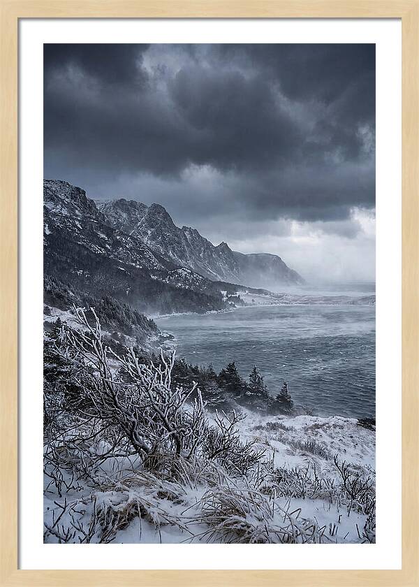 Weathering Snow Squall
