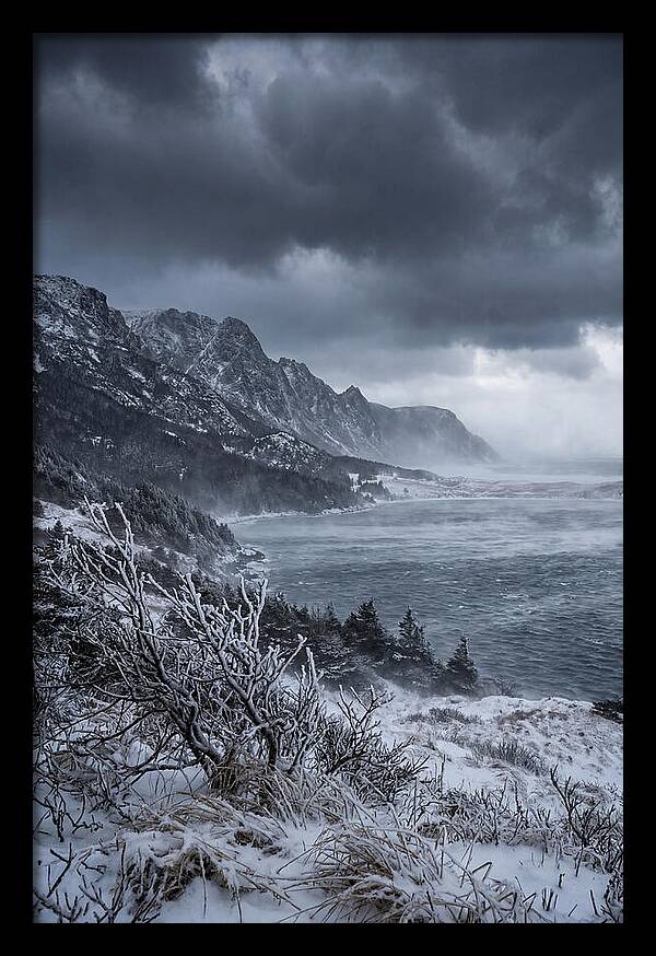 Weathering Snow Squall