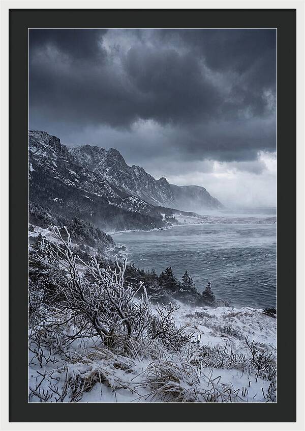 Weathering Snow Squall