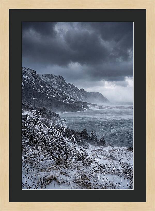 Weathering Snow Squall