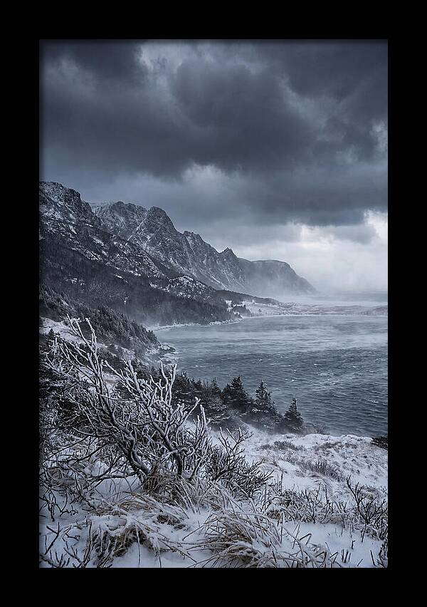Weathering Snow Squall
