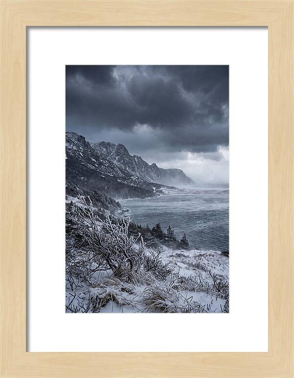 Weathering Snow Squall