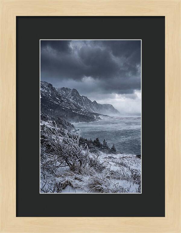 Weathering Snow Squall