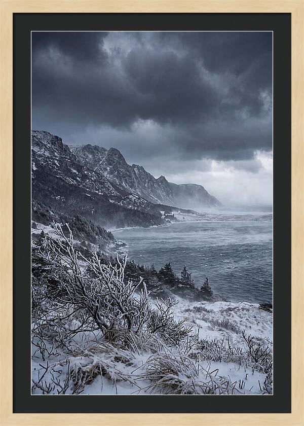 Weathering Snow Squall