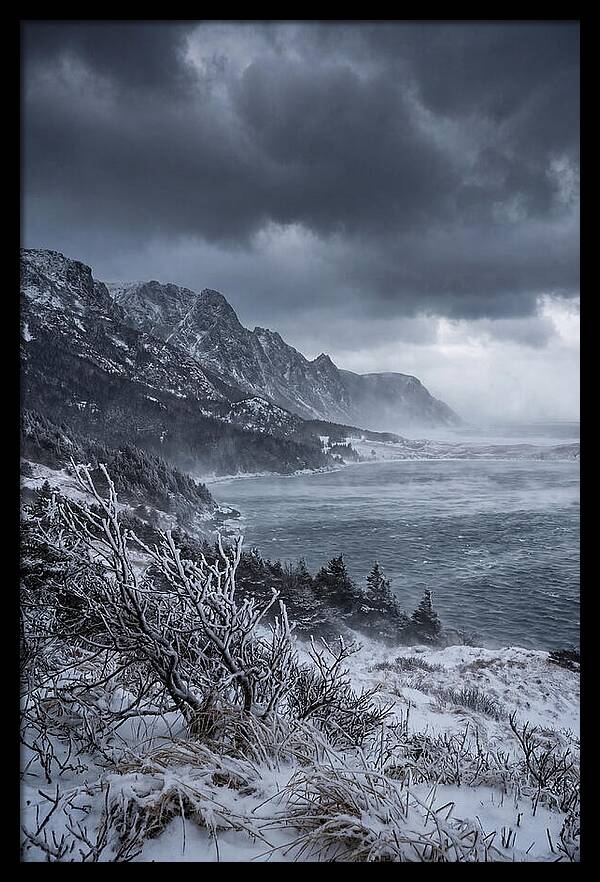 Weathering Snow Squall