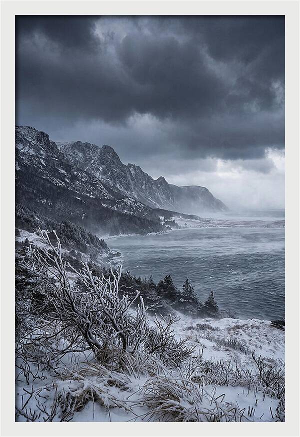 Weathering Snow Squall