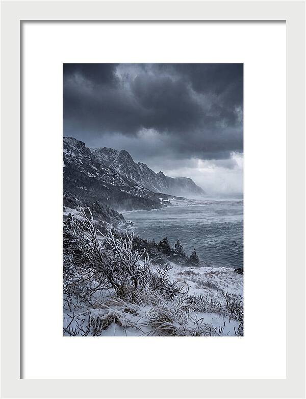 Weathering Snow Squall