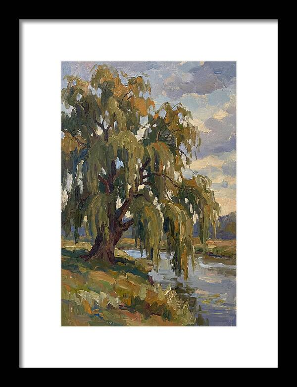 Weeping Willow By The River