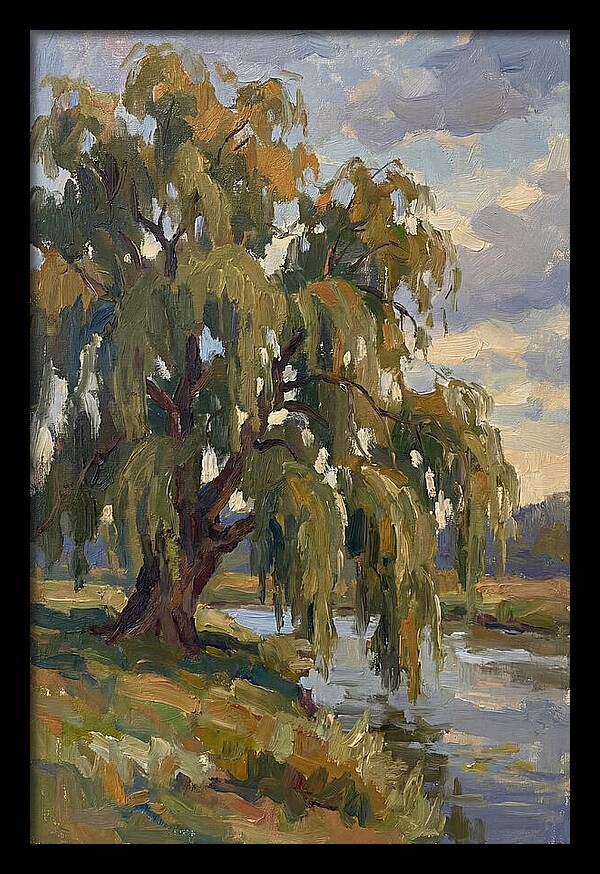 Weeping Willow By The River