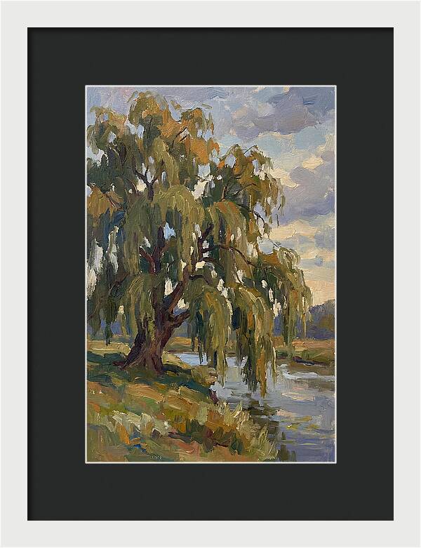 Weeping Willow By The River