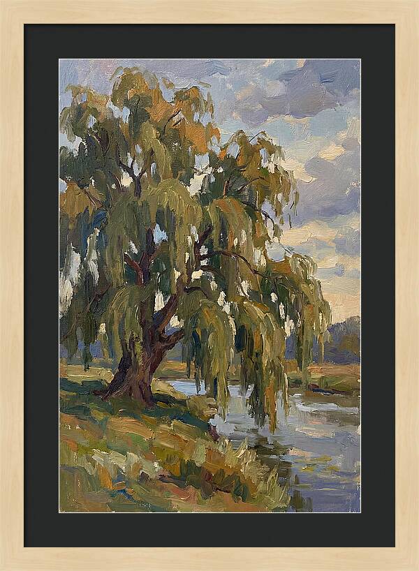 Weeping Willow By The River