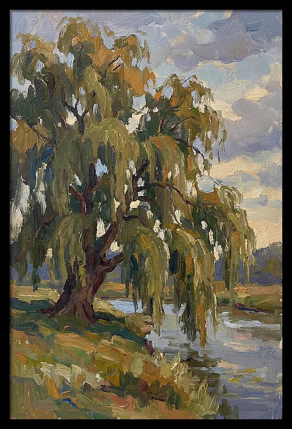 Weeping Willow By The River