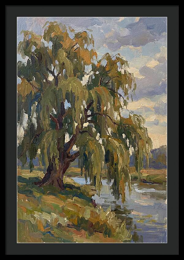 Weeping Willow By The River