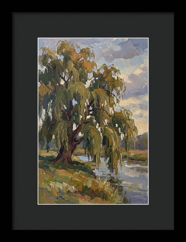 Weeping Willow By The River