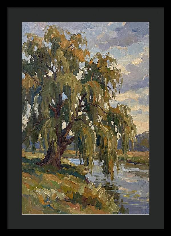 Weeping Willow By The River
