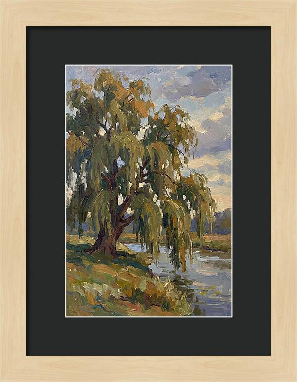 Weeping Willow By The River