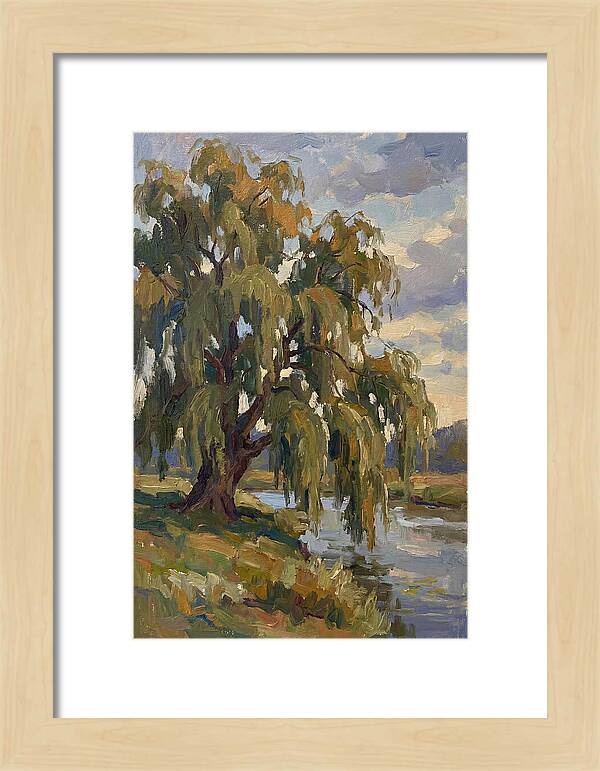 Weeping Willow By The River