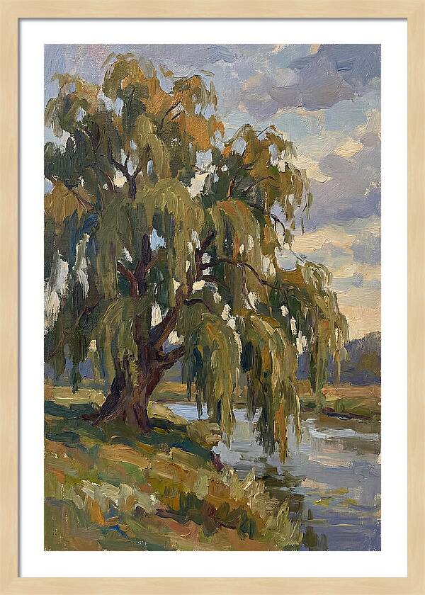 Weeping Willow By The River