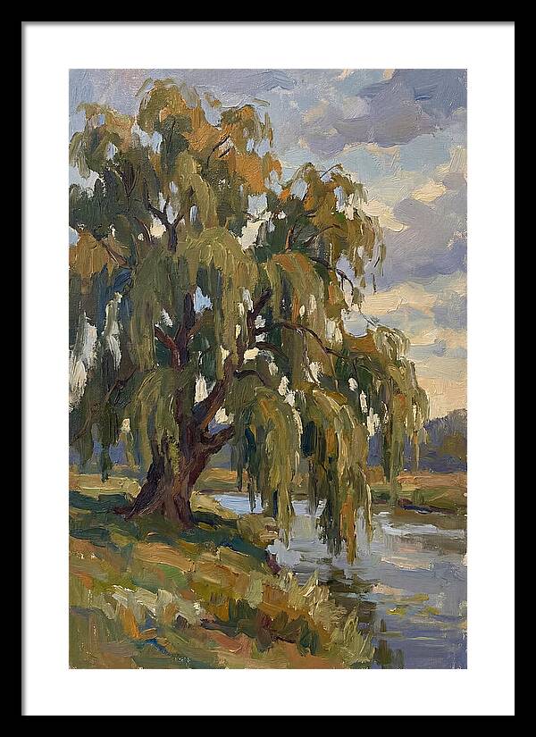 Weeping Willow By The River