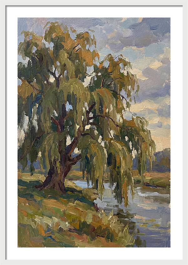 Weeping Willow By The River