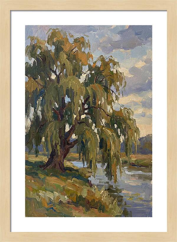 Weeping Willow By The River