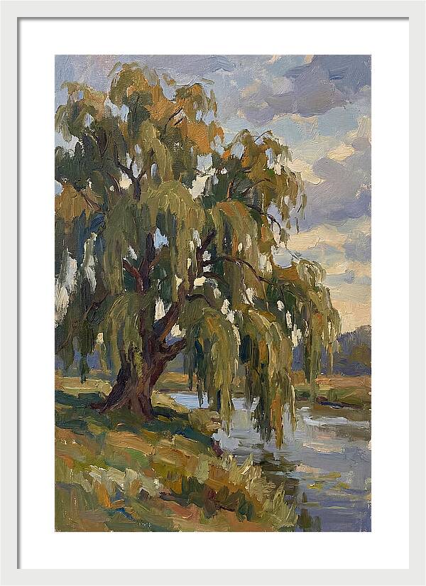 Weeping Willow By The River
