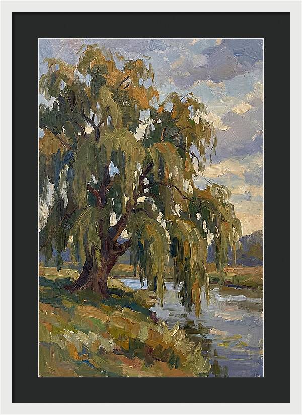 Weeping Willow By The River