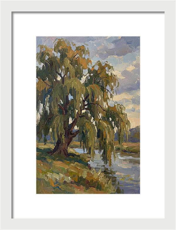 Weeping Willow By The River