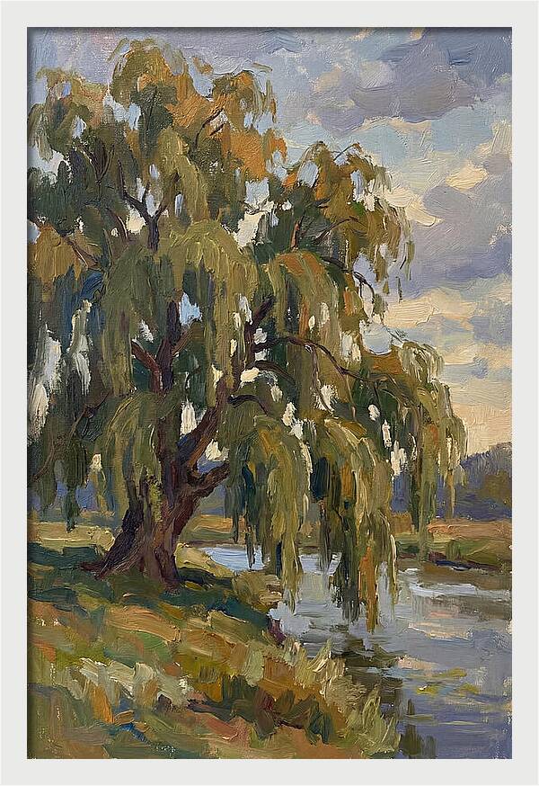 Weeping Willow By The River