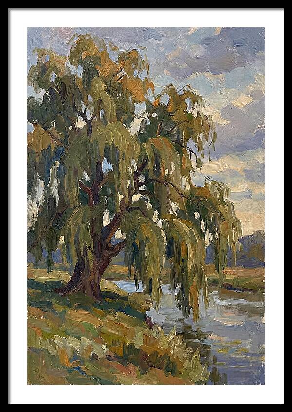 Weeping Willow By The River