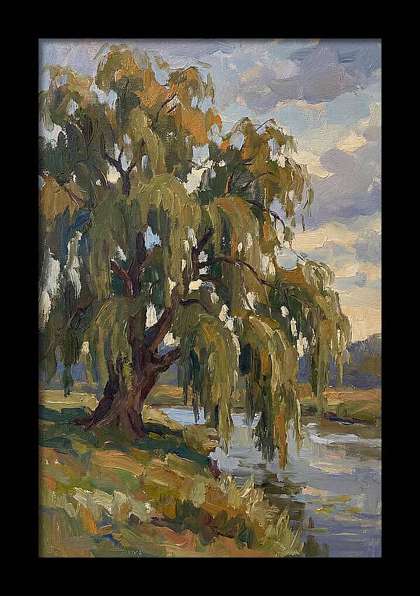 Weeping Willow By The River