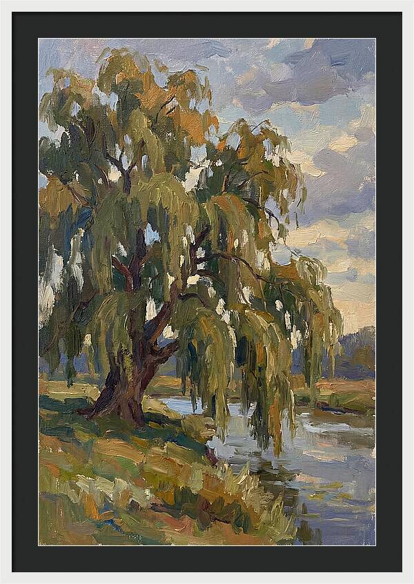 Weeping Willow By The River