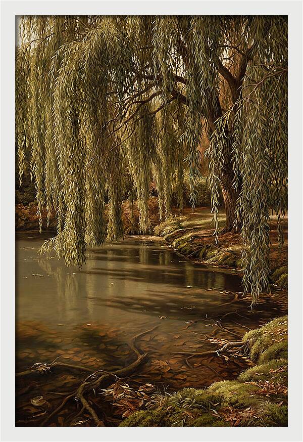 Weeping Willow Over Water
