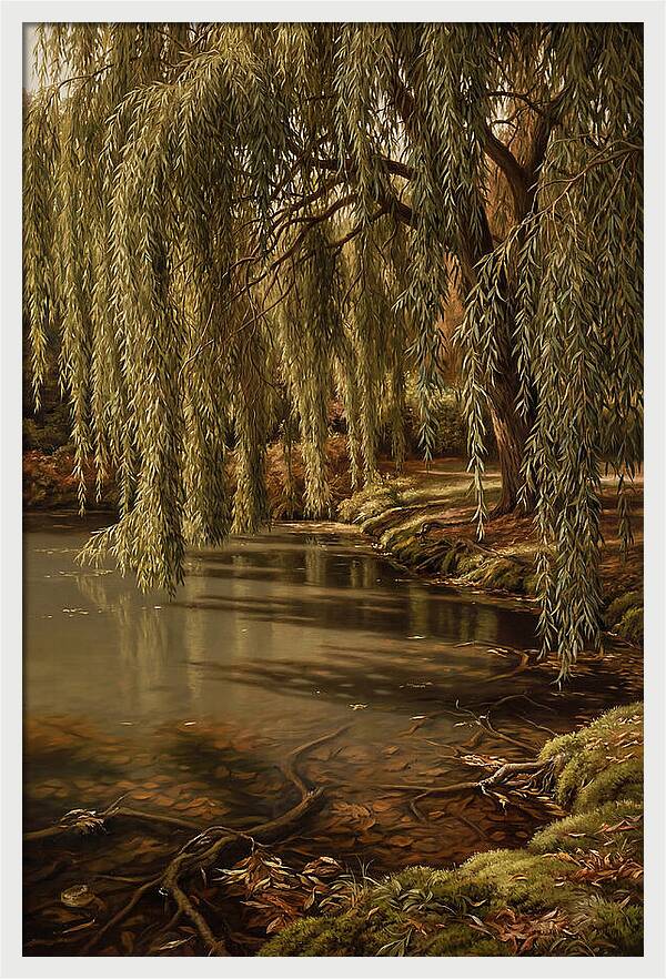 Weeping Willow Over Water