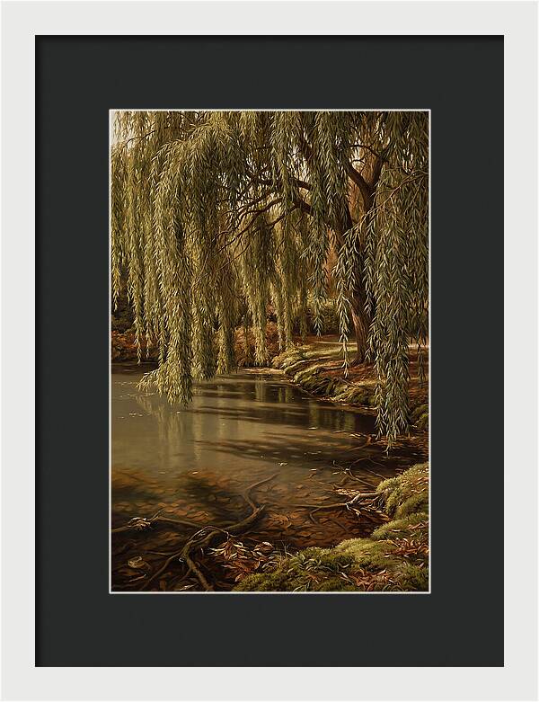 Weeping Willow Over Water