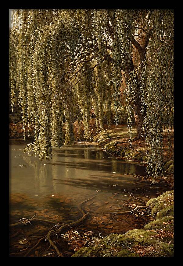 Weeping Willow Over Water