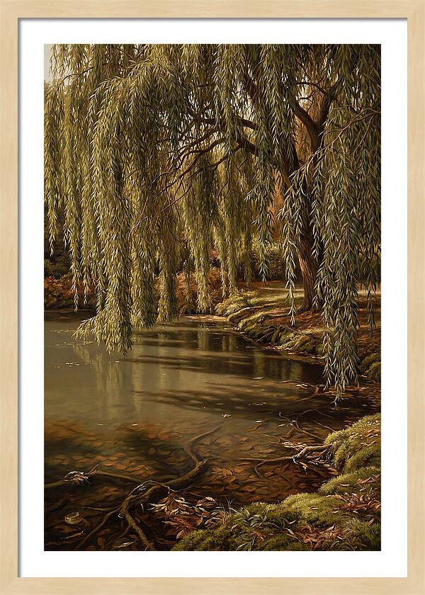 Weeping Willow Over Water