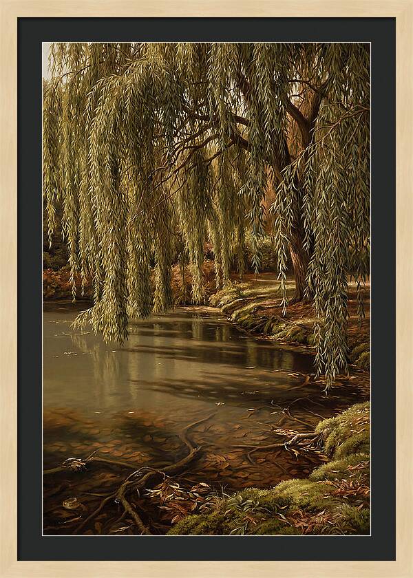 Weeping Willow Over Water