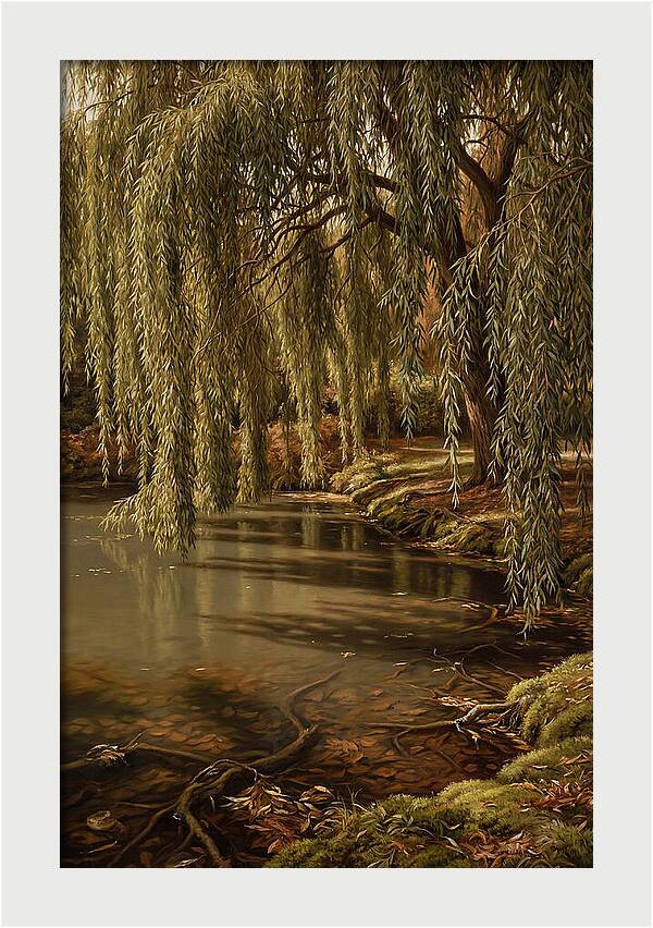 Weeping Willow Over Water