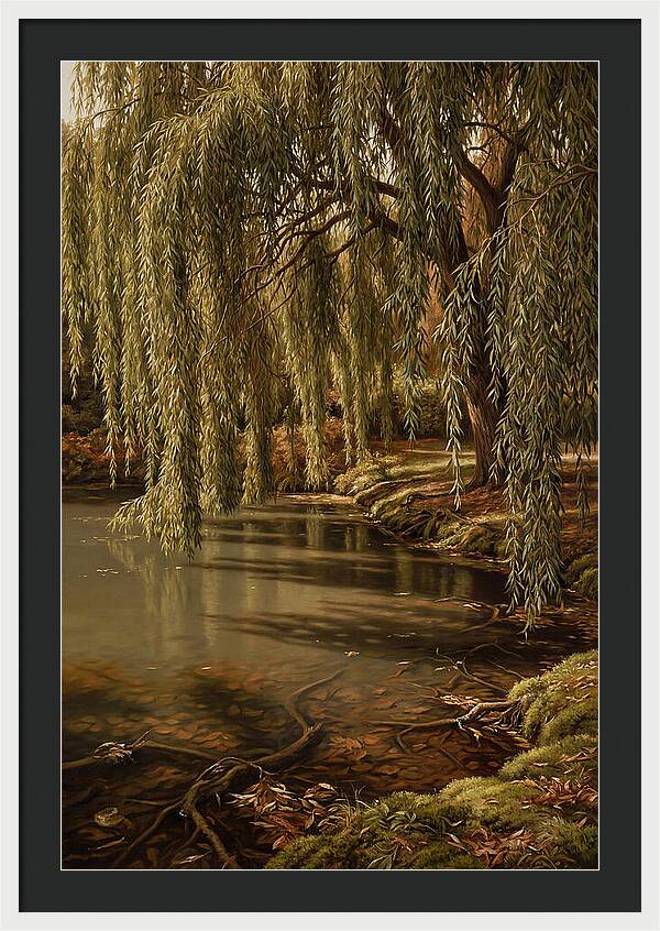 Weeping Willow Over Water