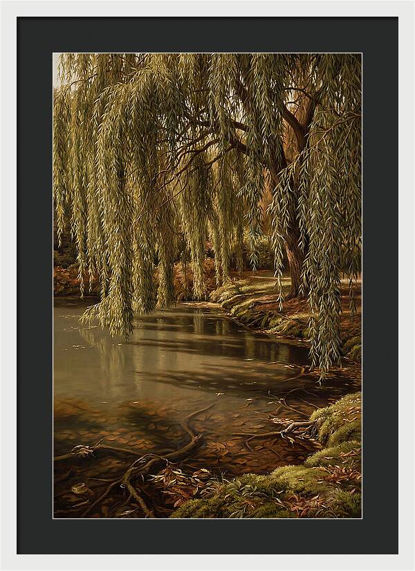 Weeping Willow Over Water